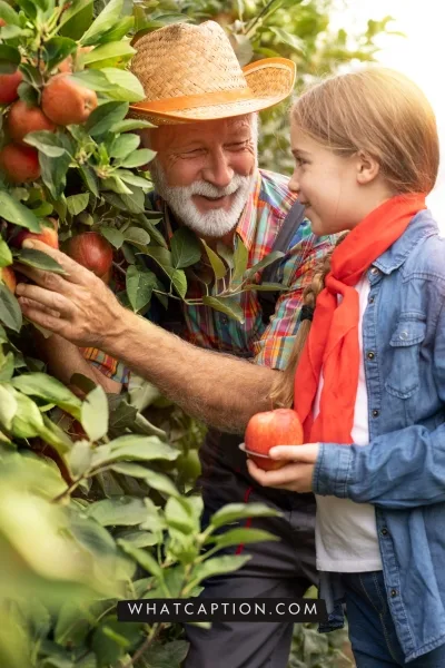 Apple Picking Captions