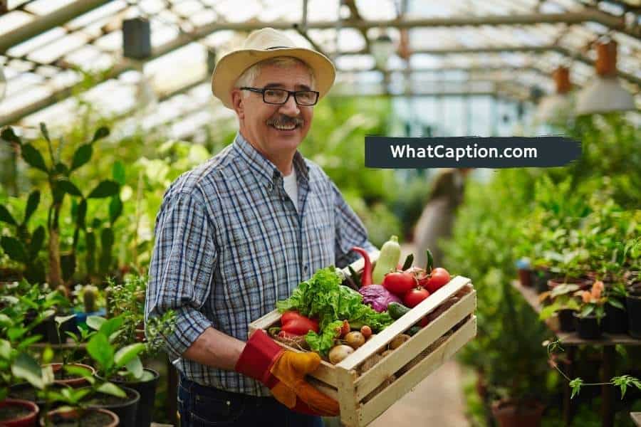 Support Local Farmers Captions for Instagram