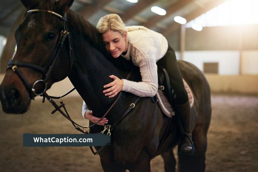 Horsemanship Captions for Instagram