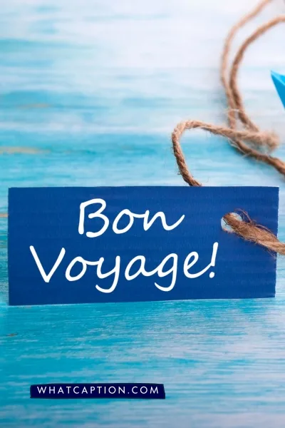 Bon Voyage Quotes Bon Voyage Quotes