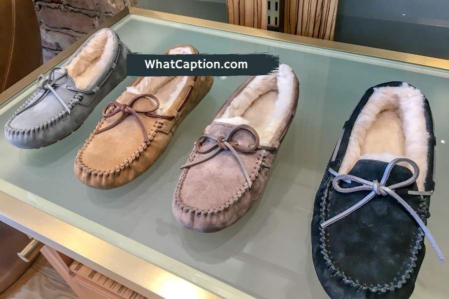 Loafer Captions for Instagram