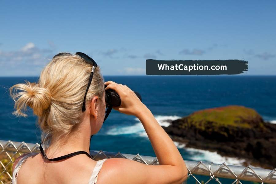 Whale Watching Captions for Instagram