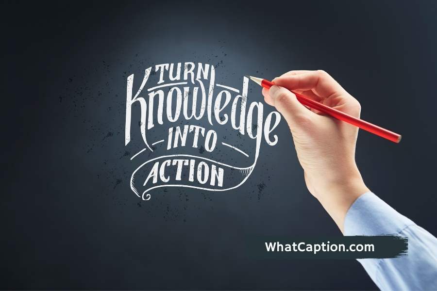 Best Quotes to Write in Bio