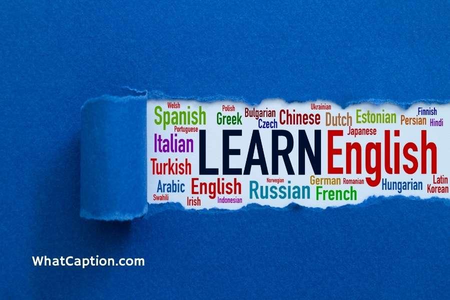 Foreign Language Learning Quotes