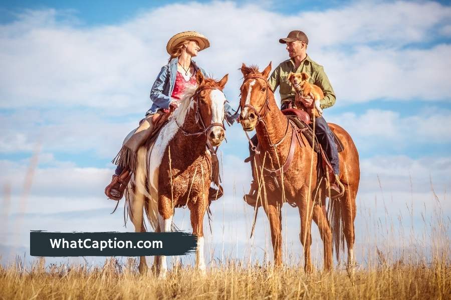 Horse Lover Bio