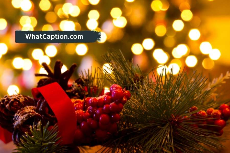 Mistletoe Captions and Quotes