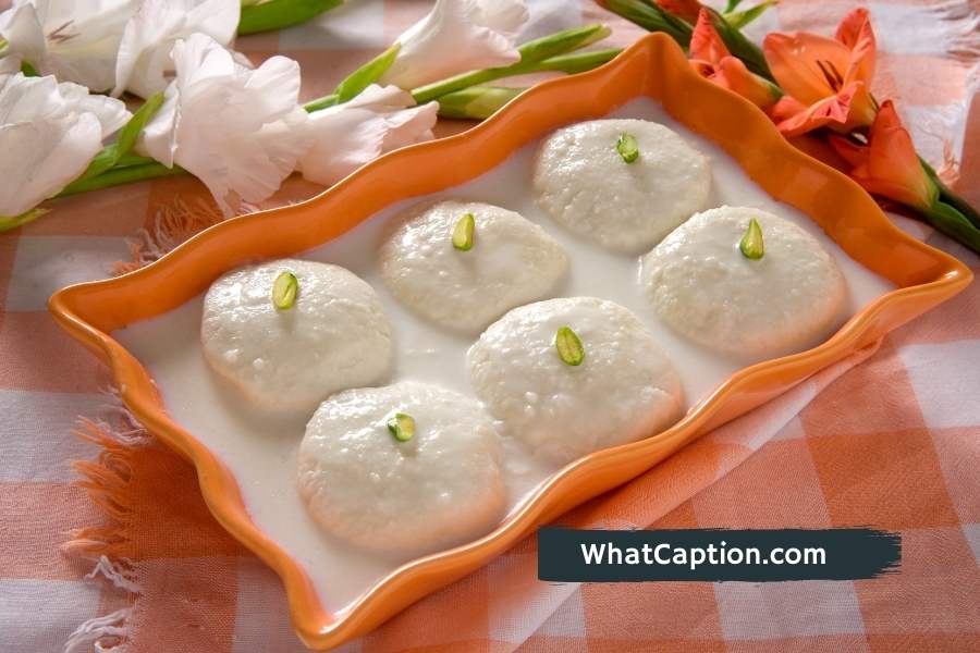 Rasmalai Quotes and Captions for Instagram