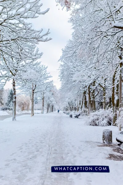 Snow Captions for Instagram