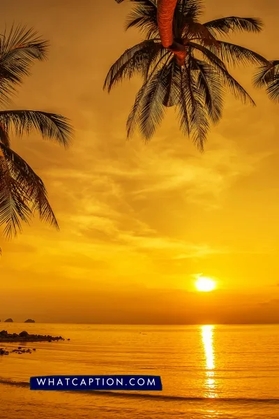 Sunset Captions for Instagram