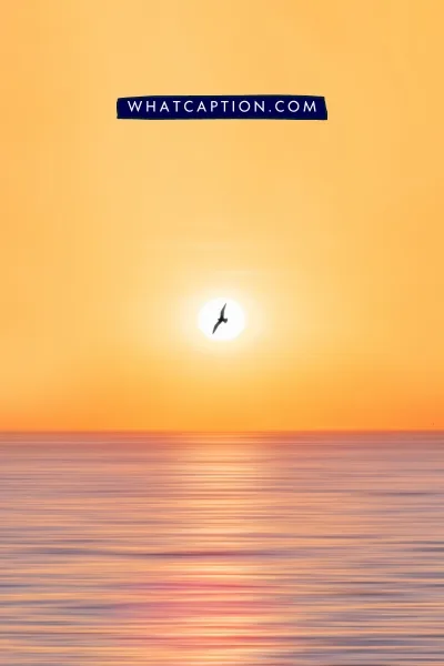 Sunset Captions for Instagram