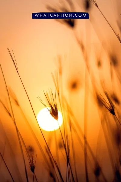 Sunset Captions for Instagram