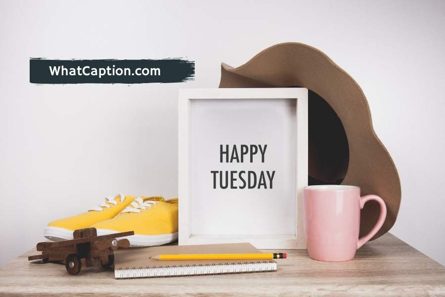 Tuesday Quotes and Captions for Instagram