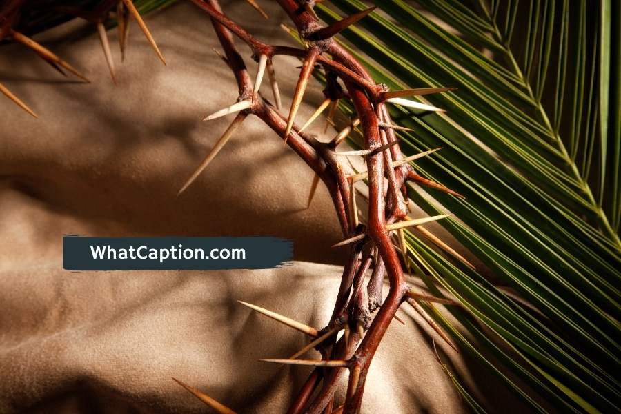 Good Friday Quotes and Captions for Instagram