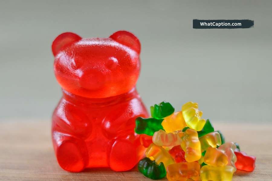 Gummy Bear Quotes and Captions for Instagram