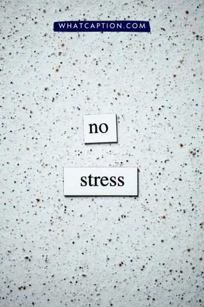 Stress Relief Quotes and Captions for Instagram Stress Relief Quotes and Captions for Instagram