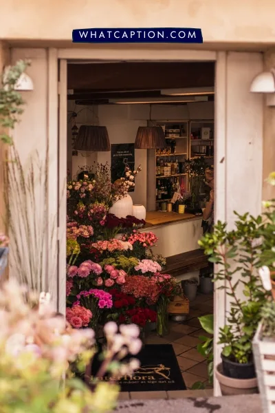 Hashtags for Flower Photography Hashtags for Flower Photography