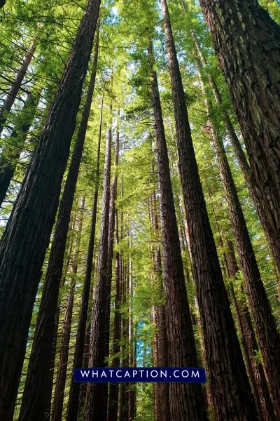 Hashtags for Nature Photography Hashtags for Nature Photography
