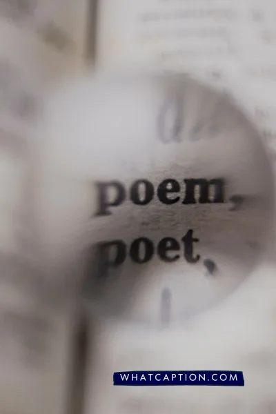 Hashtags for Poets on Instagram Hashtags for Poets on Instagram