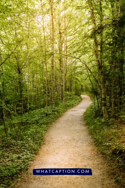 Trail Hashtags