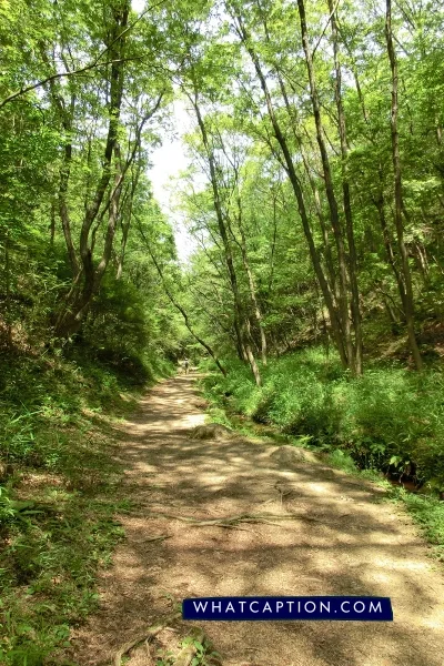 Trail Hashtags
