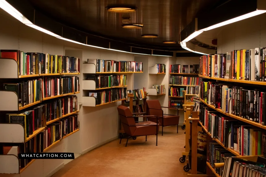 Instagram Bio for Library