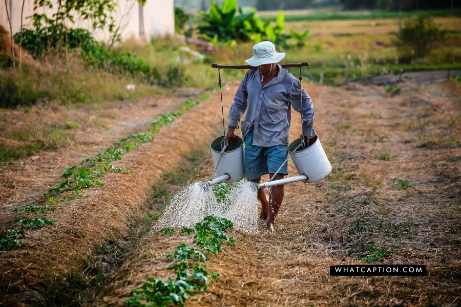 Farmer Bio for Instagram