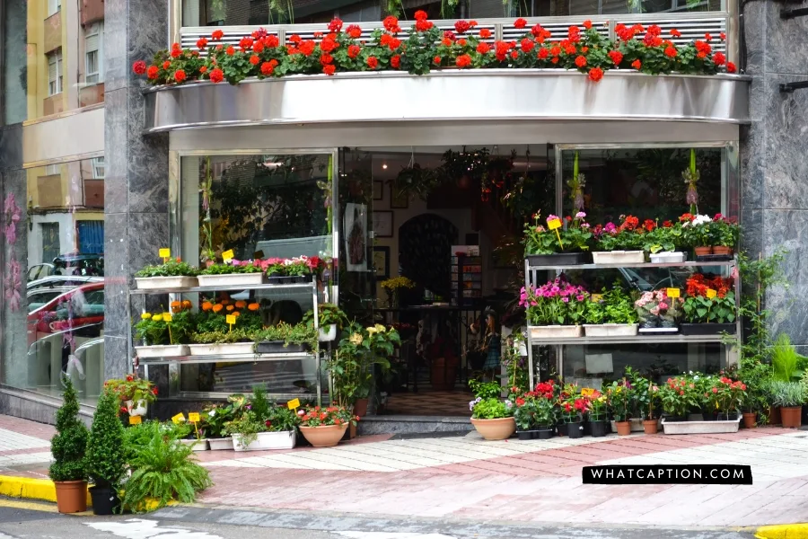 Instagram Bio for Flower Shop