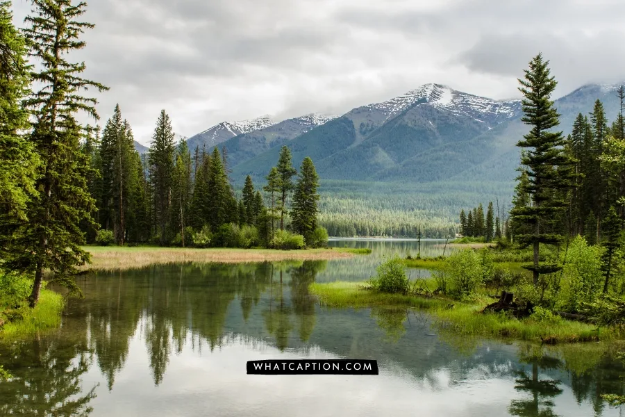 Nature Photography Bio for Instagram
