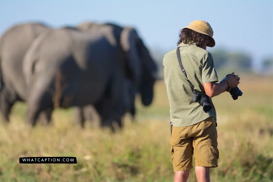 Wildlife Photographer Bio for Instagram